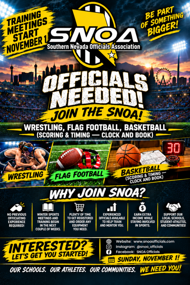 https://snoaofficials.com/wp-content/uploads/2026/10/flyer-640x960.png